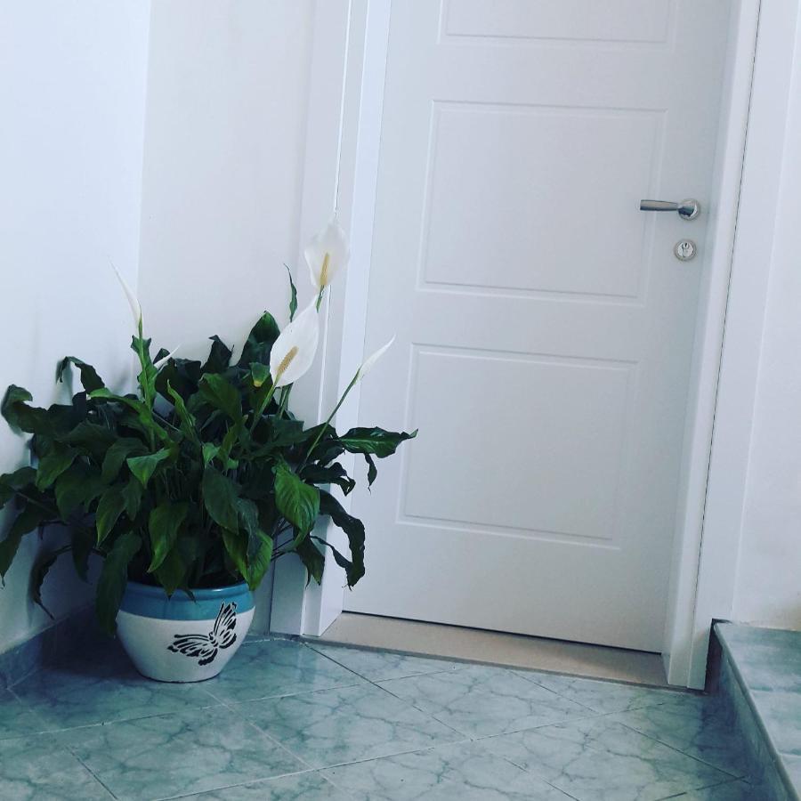 Apartamento Juriki